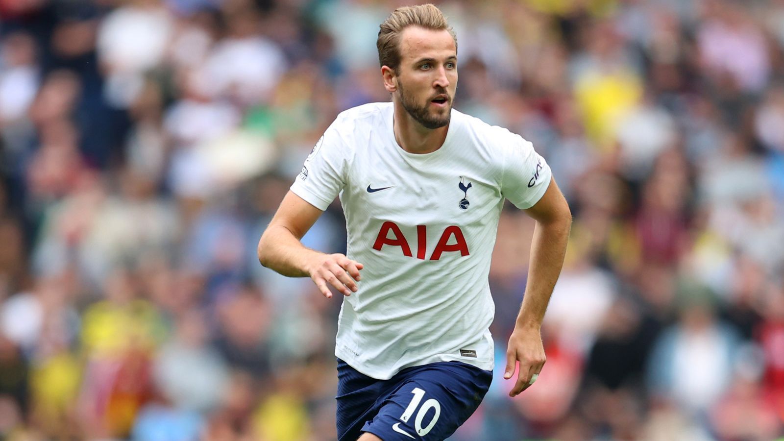 
                <strong>Tottenham Hotspur (England)</strong><br>
                Spieler mit der Nummer 10: Harry Kane - Trägt die Nummer seit: Sommer 2015 - Frühere Spieler des Vereins mit der Nummer 10 (Auswahl): Emmanuel Adebayor, Rafael van der Vaart, Robbie Keane, Teddy Sheringham
              