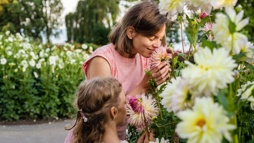 Wunderschöne&nbsp; Pflanzen trotz Hitze und Trockenheit: Wir verraten dir, worauf es bei der Gartenarbeit im Sommer ankommt