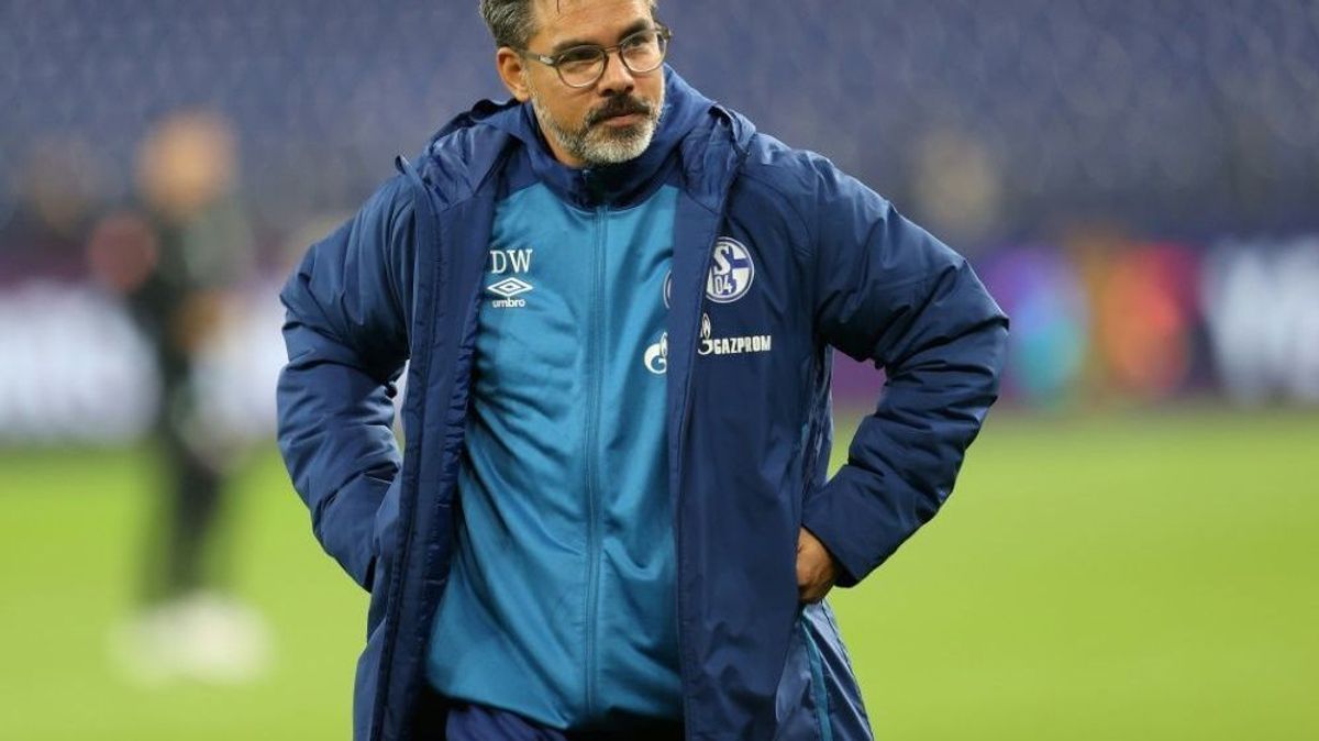 Wagner spricht über die Entlassung bei Schalke 04