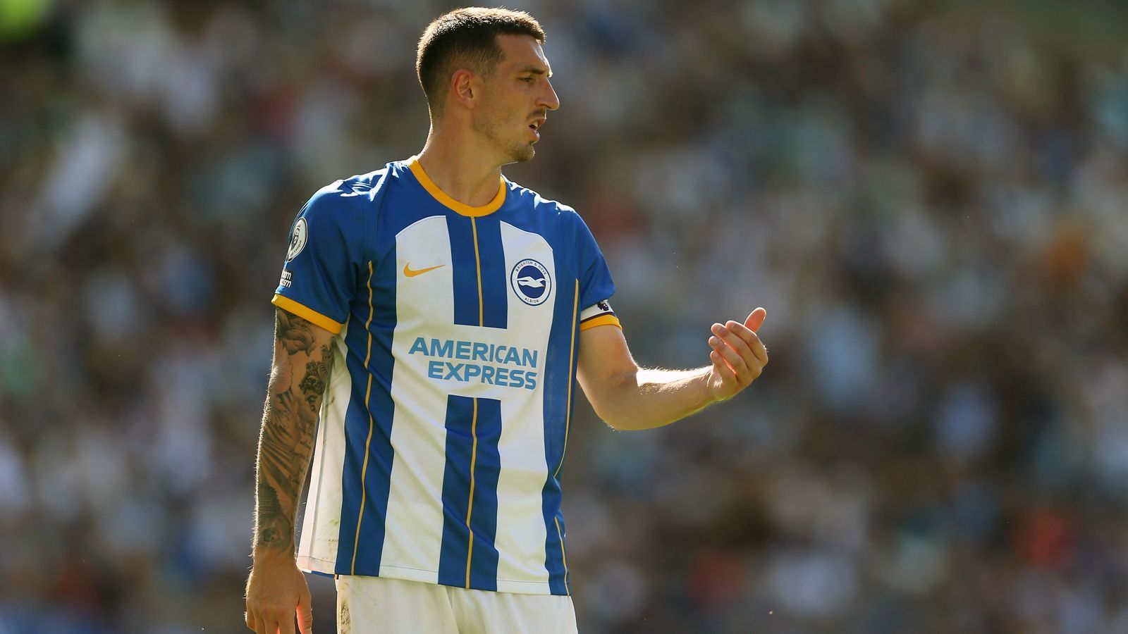 
                <strong>Brighton & Hove Albion</strong><br>
                &#x2022; Kapitän: Lewis Dunk<br>&#x2022; Im Verein seit: Juli 2010<br>
              