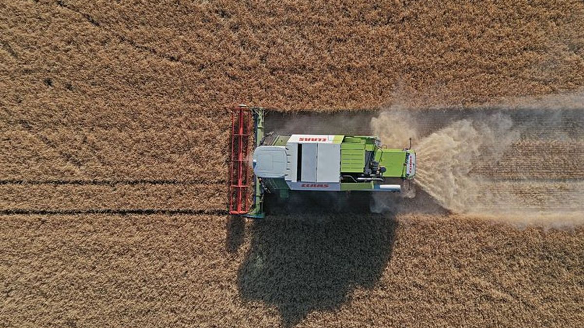 Sechster IPCC-Bericht: Wie Nahrungsmittel durch die Erderwärmung verloren gehen