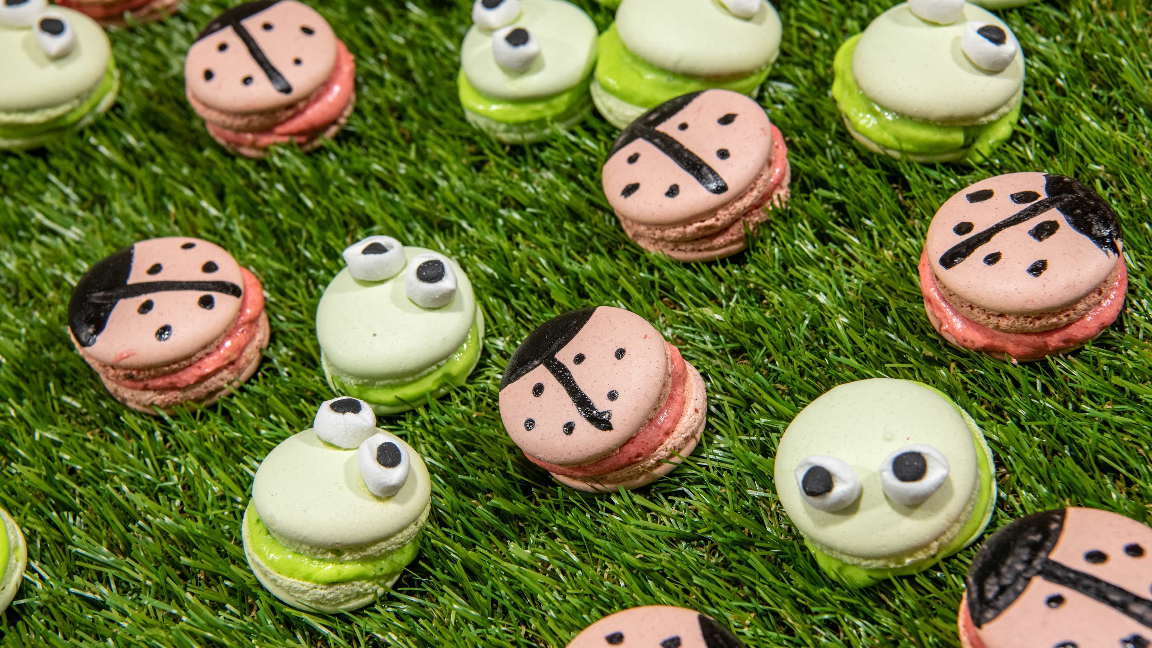 Erdbeer-Basilikum &amp; Tequila-Limetten Macarons | Das große Backen