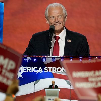 Peter Navarro spricht während des dritten Tages der Republican National Convention 2024 im Fiserv Forum.