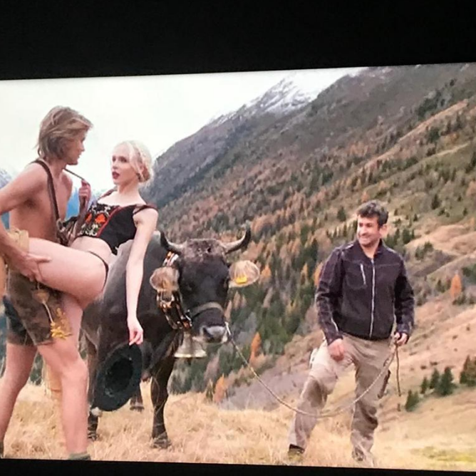 Hier geht´s lang zu dem Shooting mit den Kühen