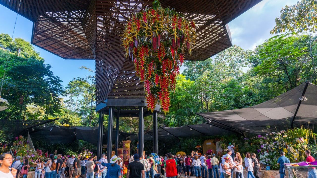 Jardin Botanico: Der Botanische Garten liegt mitten in der Stadt und beherbergt neben einem Schmetterlingshaus auch Leguane, Vögel, unzählige Pflanzen und natürlich eine Sammlung von Kolumbiens Nationalblumen, den Orchideen. Der Eintritt ist kostenlos. Auf einigen Wiesen darf man picknicken.