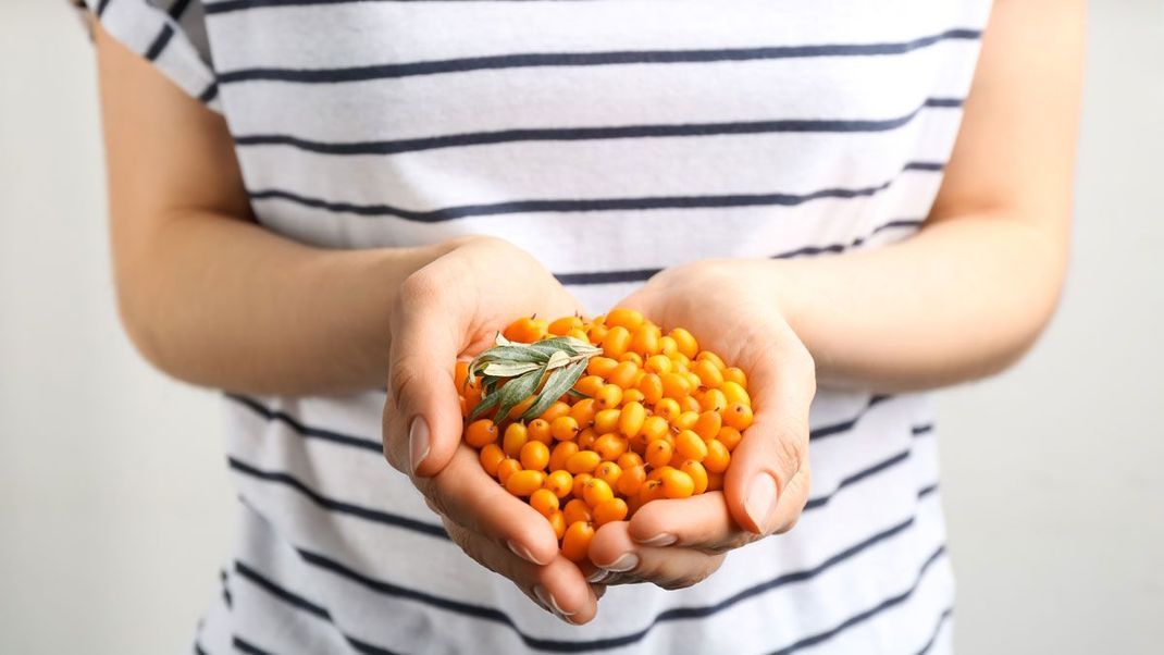 Sanddorn ist reich an Vitamin C und hat eine antioxidative Wirkung, wir verraten euch welche Beauty-Produkte auf die Wirkstoffe der Pflanzen zurückgreifen.