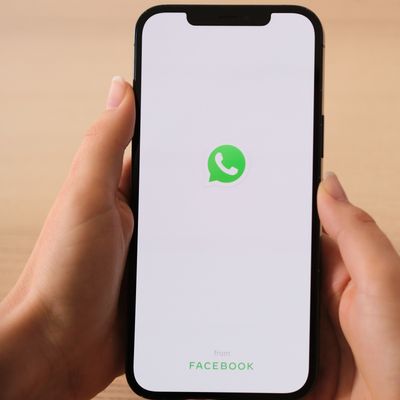 Hand holds smartphone with WhatsApp app logo on November 4, 2021 in Sofia, Bulgaria.