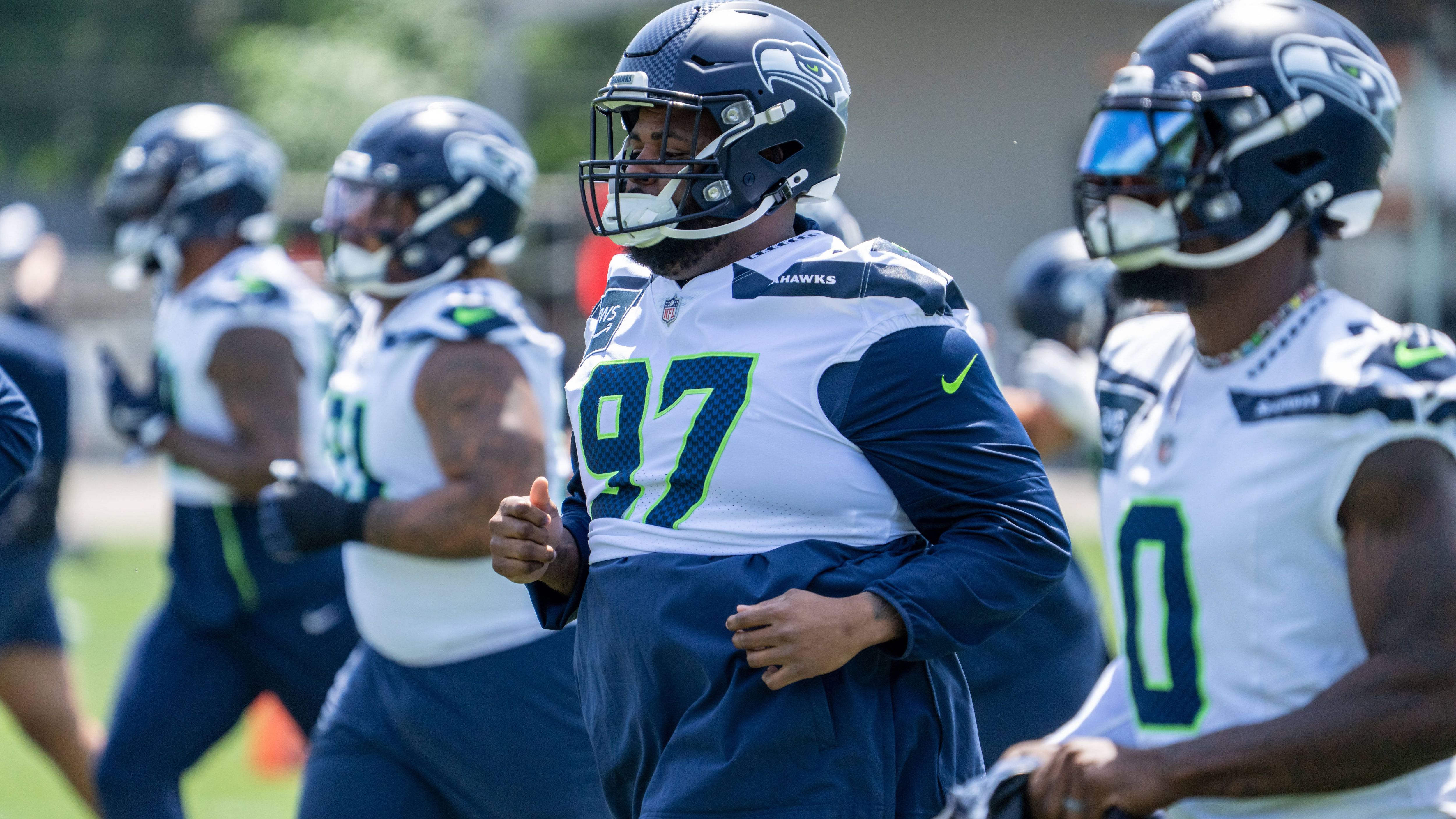 <strong>Seattle Seahawks (weniger als 1 Prozent)</strong>