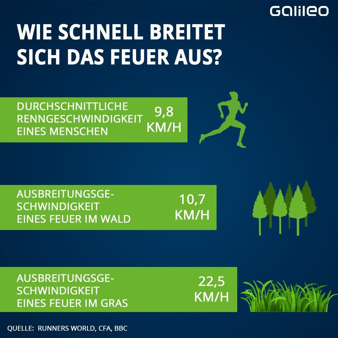 Die Ausbreitungsgeschwindigkeit von Feuer ist sehr hoch, schneller als ein rennender Mensch. Im Wald ist Feuer fast elf Stundenkilometer schnell, auf Gras sind es mit rund 22 Stundenkilometer sogar das Doppelte.