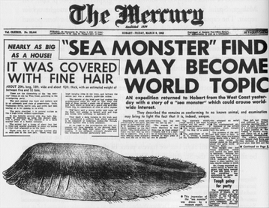 Das "Seeungeheuer von Tasmanien" machte 1962 als erster Globster medial Furore. Die Australier:innen nahmen es mit Humor - sie nannten es "Das gruseligste Omelette der Welt".