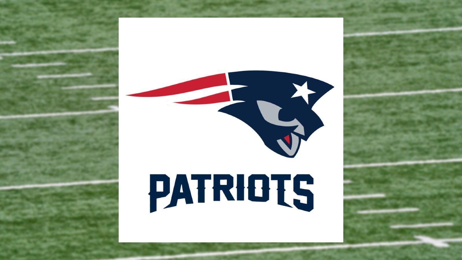 
                <strong>New England Patriots</strong><br>
                Pokemon: Palkia
              