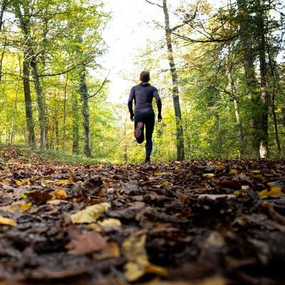 Stephen Chamberlain starb, nachdem ein Auto in beim Joggen angefahren hatte. (Symbolbild)