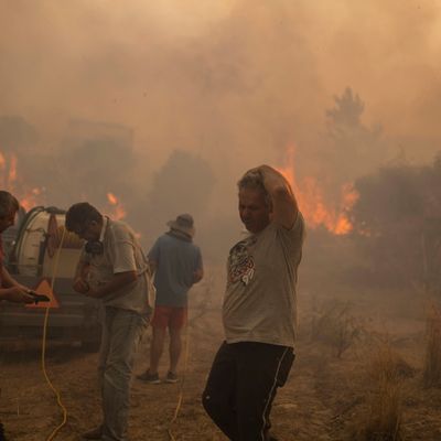 Rhodos: Einheimische versuchen einen Waldbrand zu löschen. 