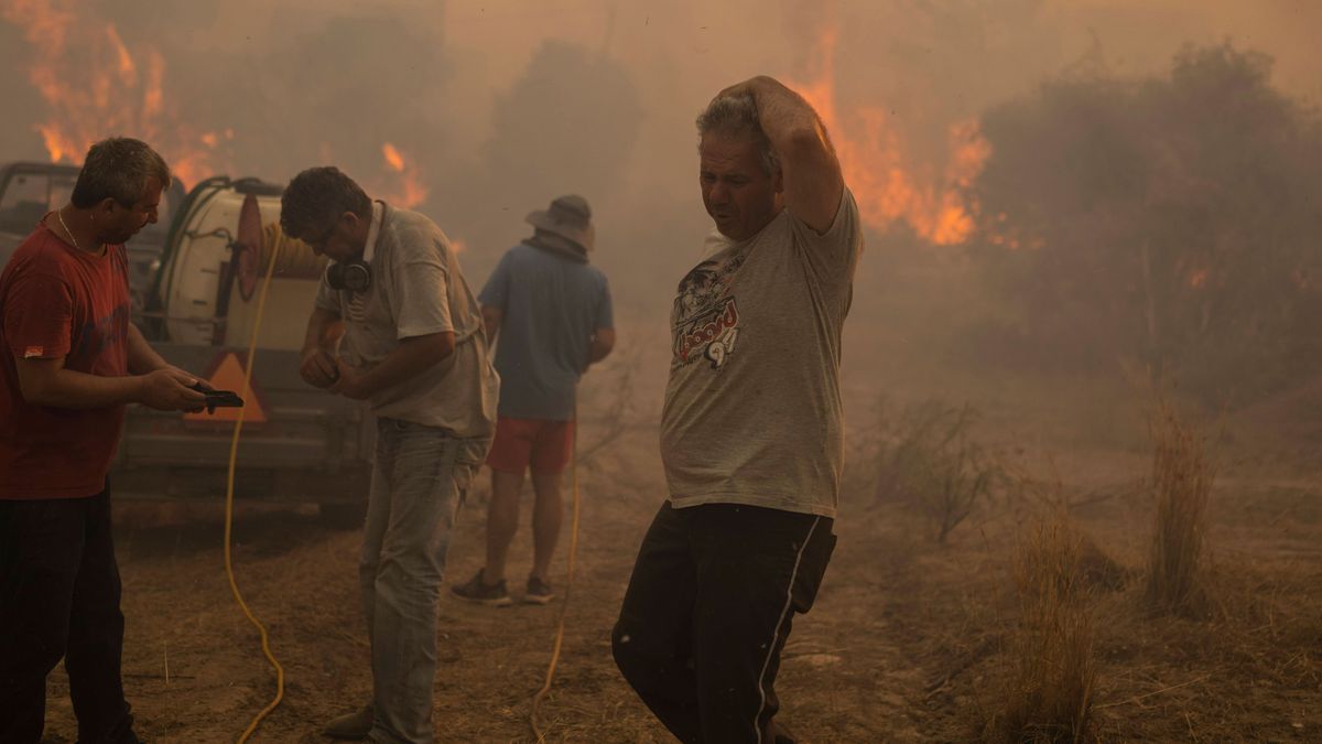 Rhodos: Einheimische versuchen einen Waldbrand zu löschen. 