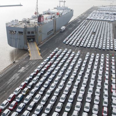 Autoexport
