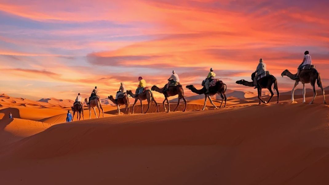 Mit rund neun Millionen Quadratkilometern ist die Sahara die bei weitem größte Trockenregion der Erde.