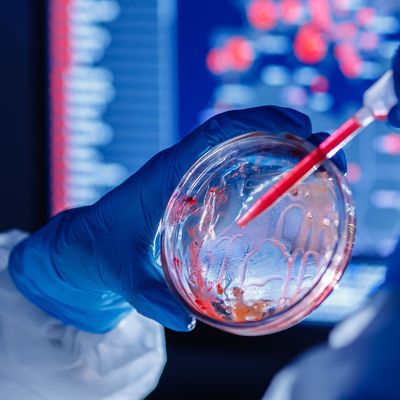 Die Herkunft des Coronavirus ist nach wie vor nicht eindeutig geklärt.