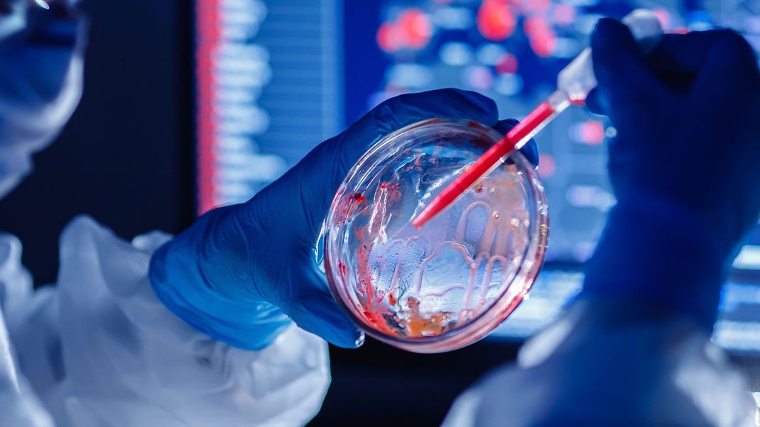 Die Herkunft des Coronavirus ist nach wie vor nicht eindeutig geklärt.
