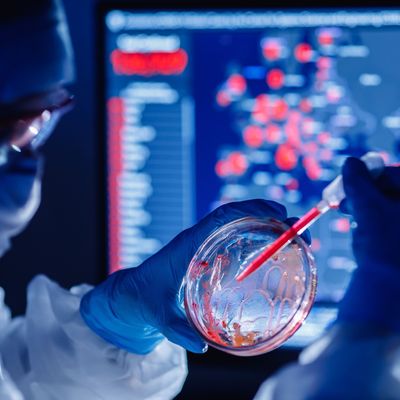 Die Herkunft des Coronavirus ist nach wie vor nicht eindeutig geklärt.