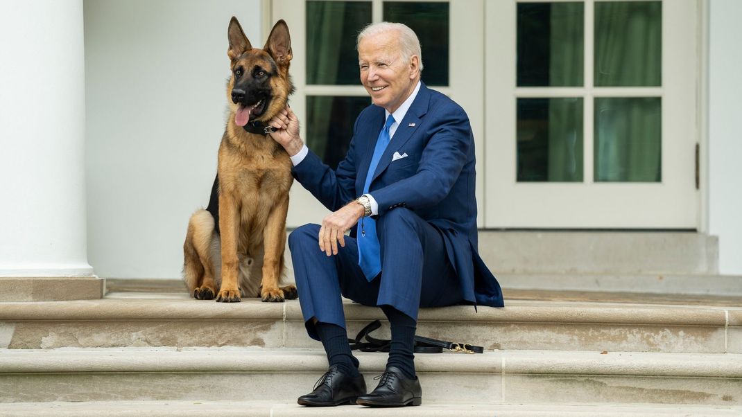 Joe Biden, Präsident der USA, sitzt mit seinem Hund auf den Stufen vor dem Weißen Haus.