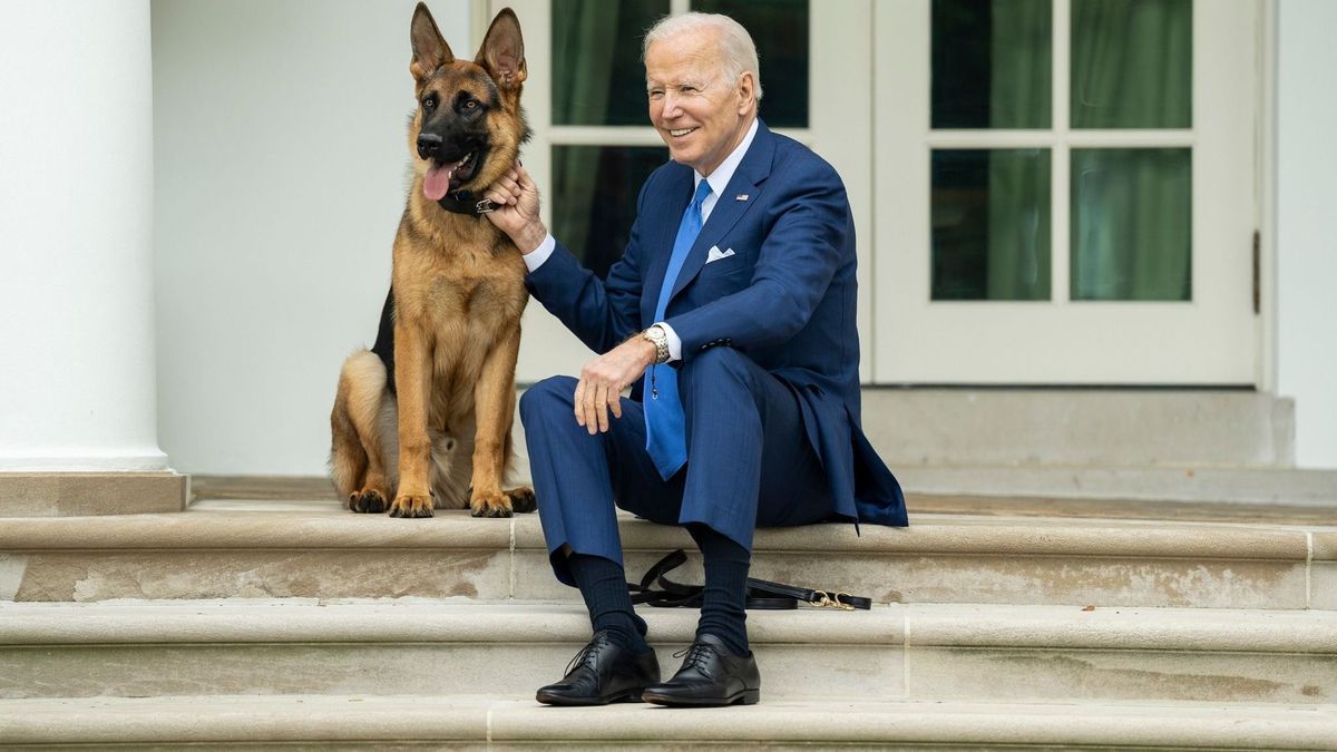 Joe Biden, Präsident der USA, sitzt mit seinem Hund auf den Stufen vor dem Weißen Haus.