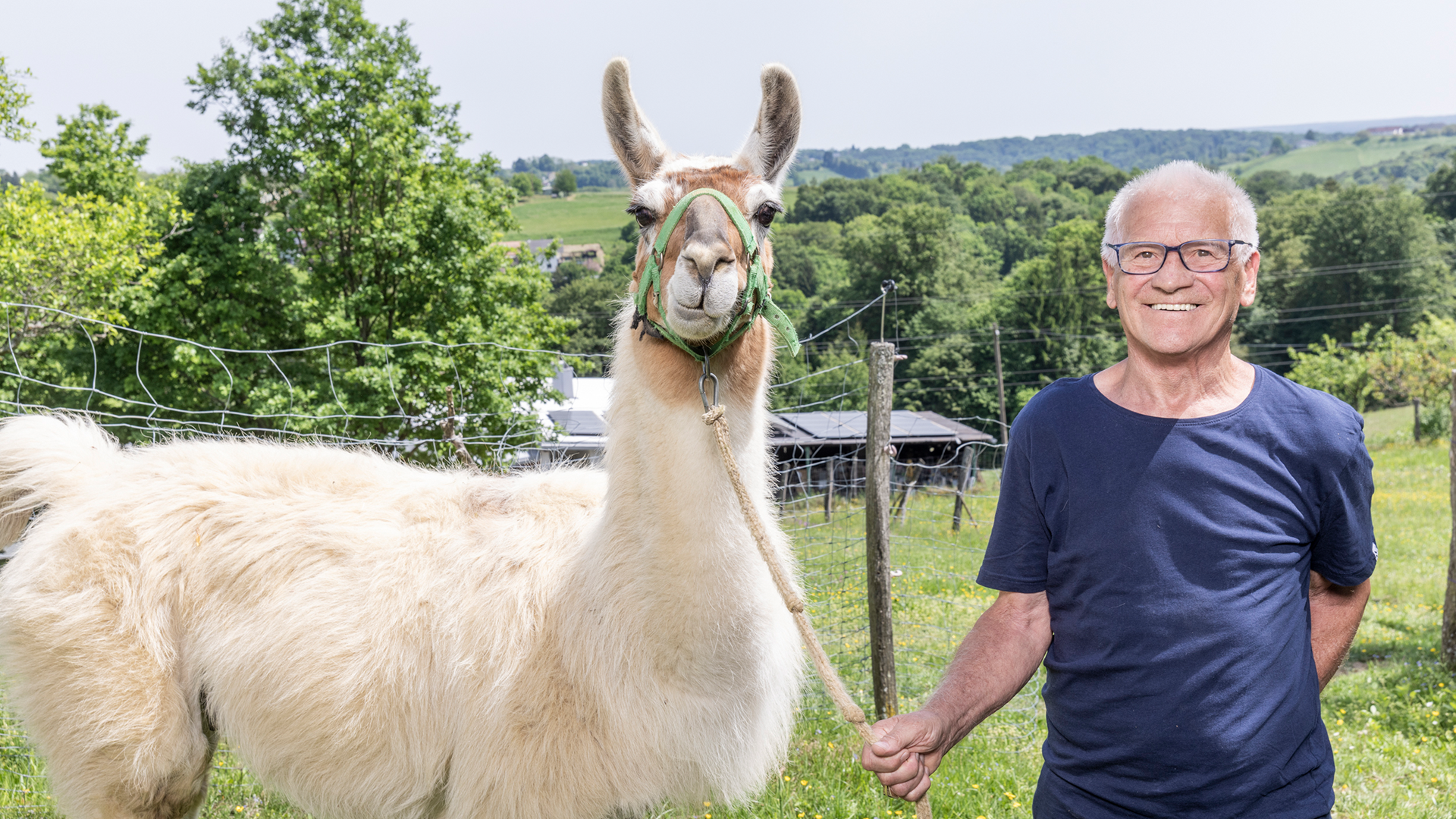 Bild zum Thema Die Bauern der 22. Staffel: