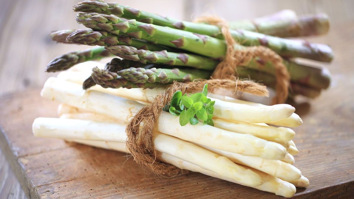 spargel