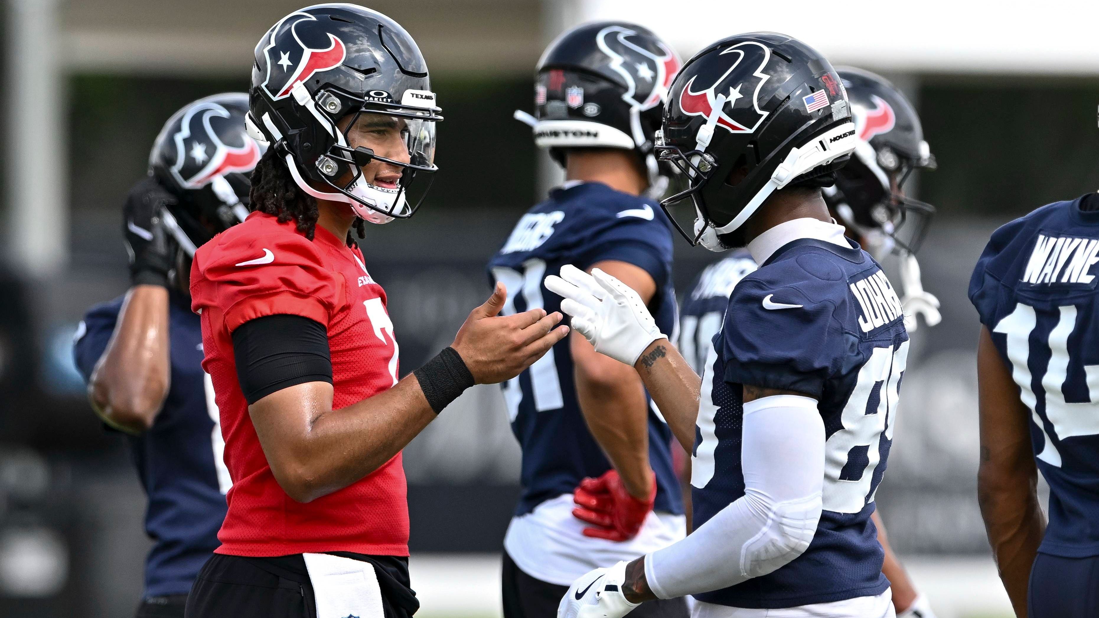 <strong>Rang 31: Houston Texans</strong><br>Anzahl an Pleiten: 209