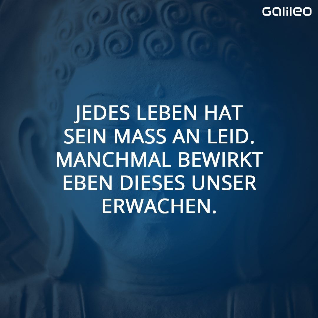 Zitat Buddhismus