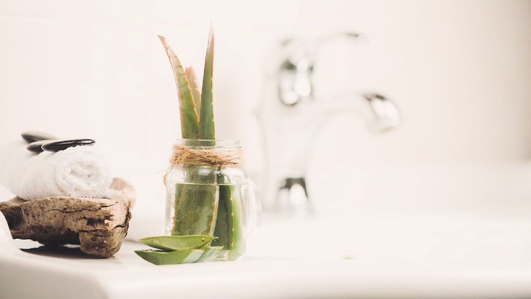 Aloe vera, Mandelöl und Co.: Verschiedene Hausmittel und DIY-Produkte können ein echtes Wundermittel bei Falten im Gesicht sein.