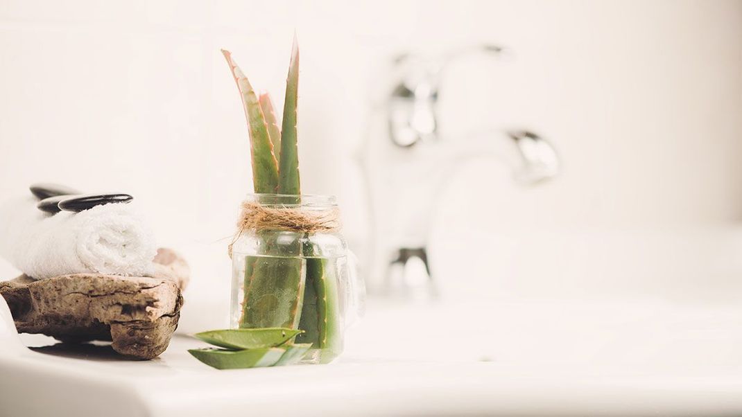 Aloe vera, Mandelöl und Co.: Verschiedene Hausmittel und DIY-Produkte können ein echtes Wundermittel bei Falten im Gesicht sein.
