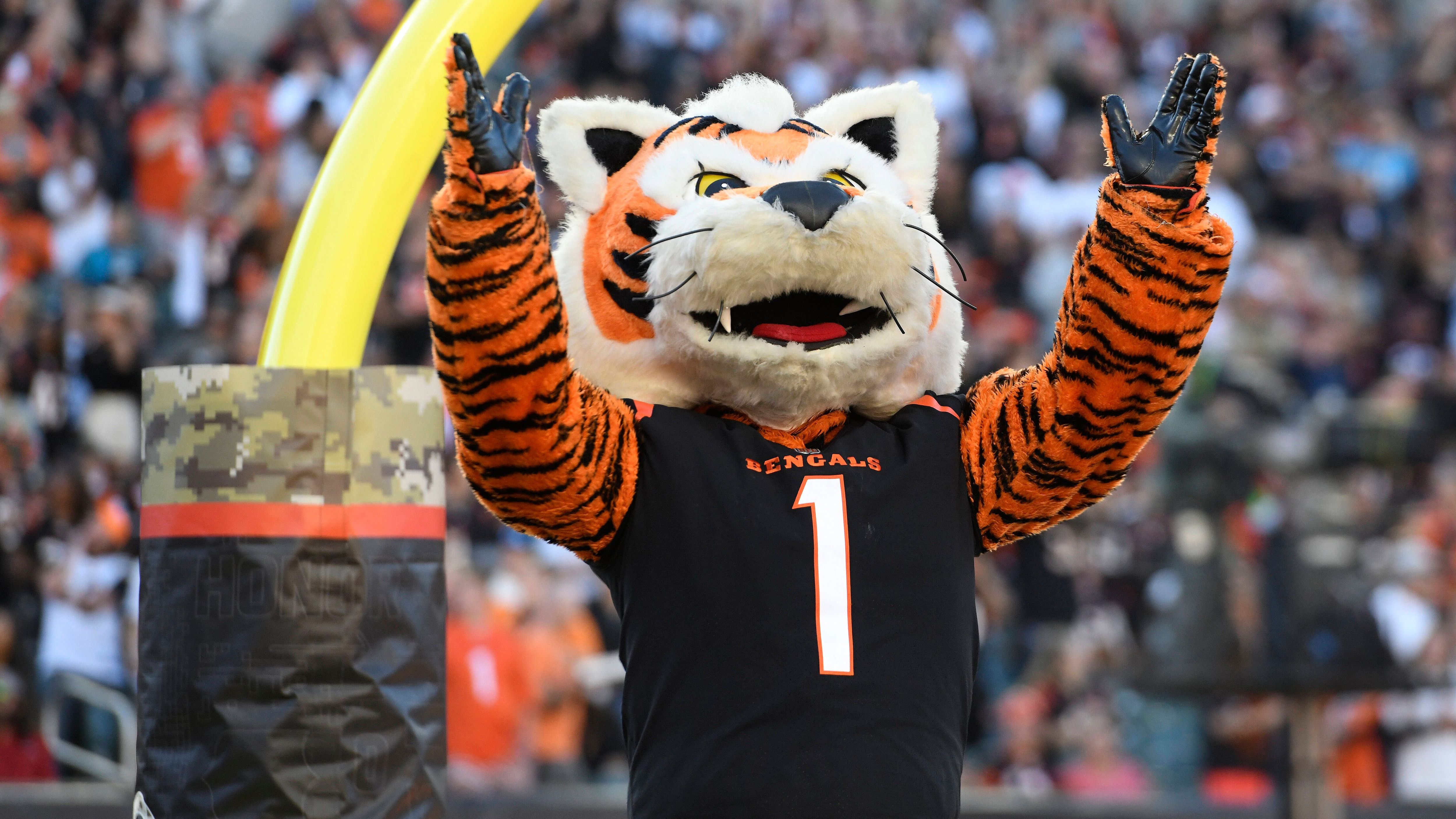 <strong>Cincinnati Bengals</strong><br>Offizielles Maskottchen: Who Dey<br>ChatGPT: Stripes<br>Erklärung: einfach, visuell einprägsam
