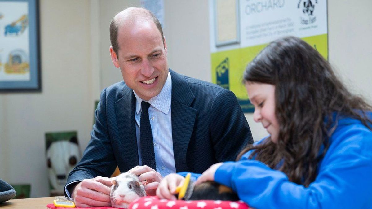 Prinz William hat am Donnerstag ein Meerschweinchen getroffen.