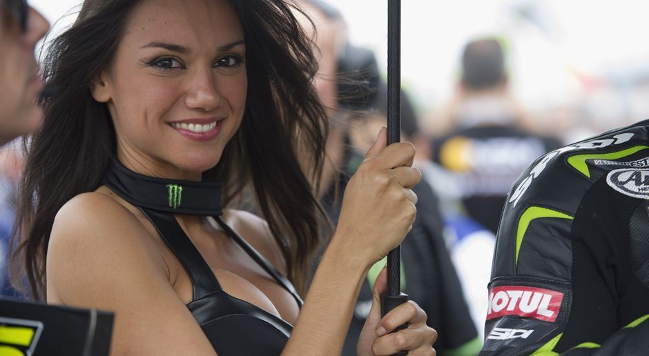 
                <strong>Grid Girls</strong><br>
                Dabei gehören die Schönheiten zum Motorsport wie Bulldogge Roscoe zu Weltmeister Lewis Hamilton. 
              