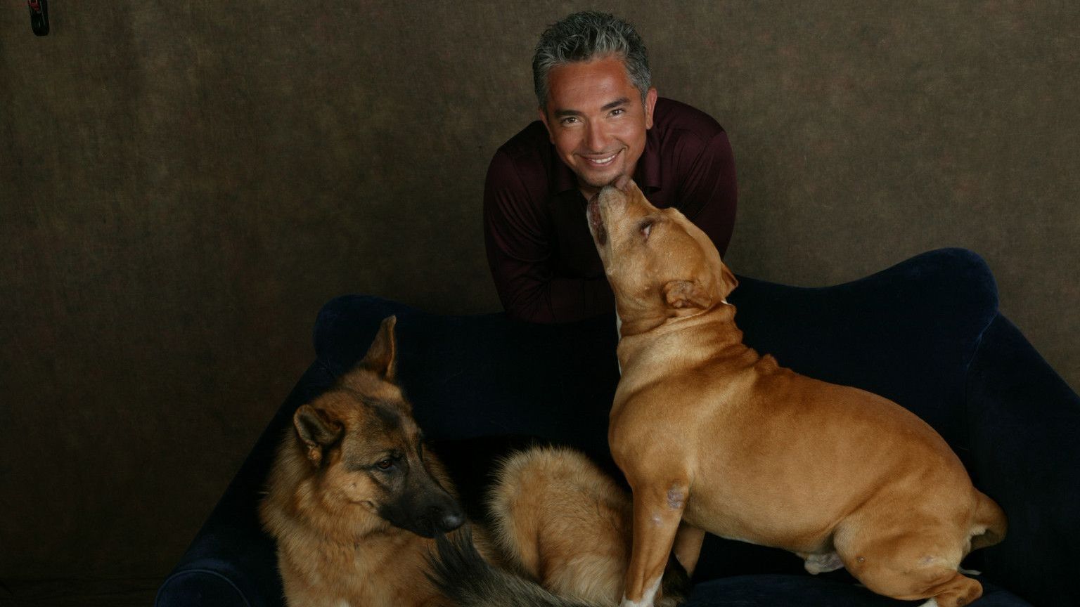 Tag des Hundes auf sixx: Cesar Millan