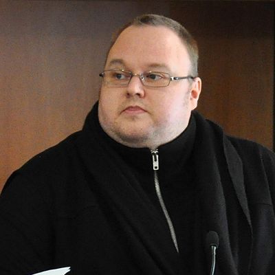 Kim Dotcom