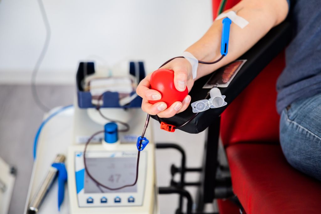 Wer darf, wer nicht und wie oft ist erlaubt? Das müssen Sie zum Blutspenden wissen