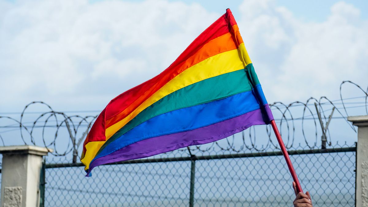 An LGBTQ + flag fluttering in the breeze with a barbed wire fence in the background and a blue sky with clouds.