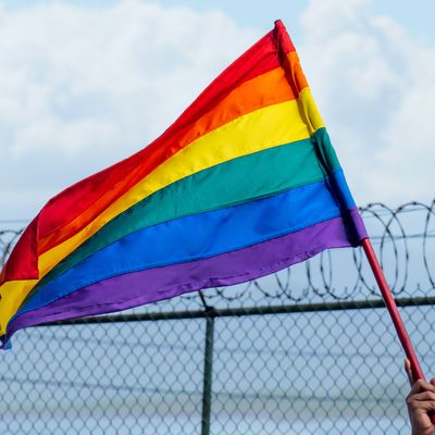 An LGBTQ + flag fluttering in the breeze with a barbed wire fence in the background and a blue sky with clouds.