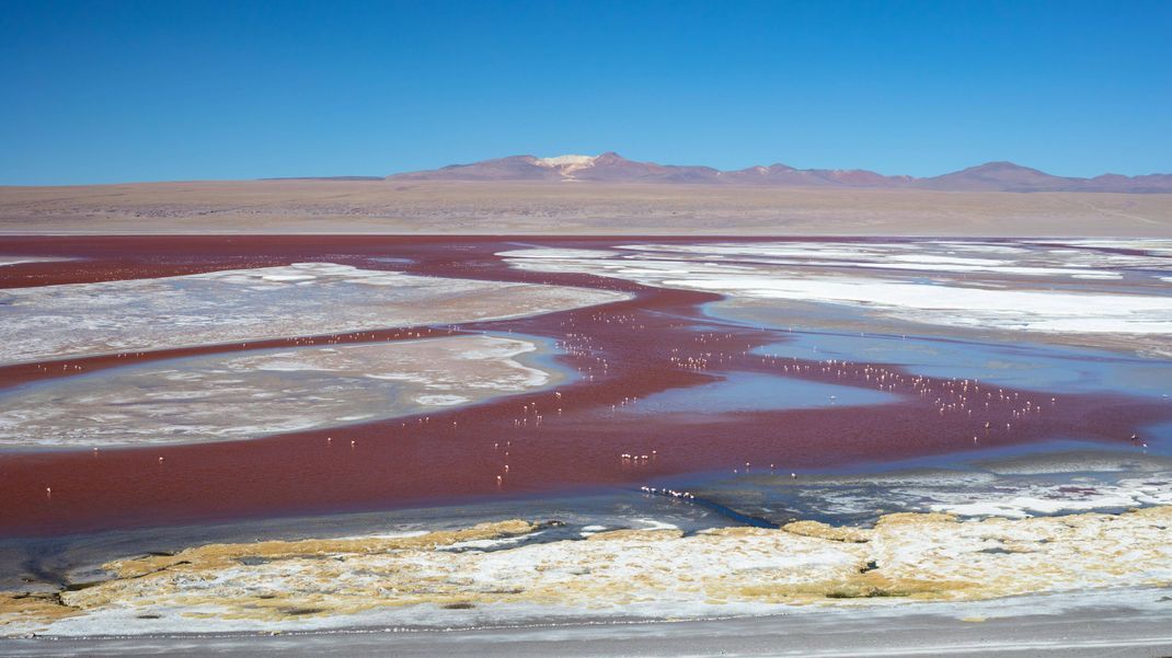 Der Salzsee Laguna Colorada ist ein flaches, großes Gewässer.