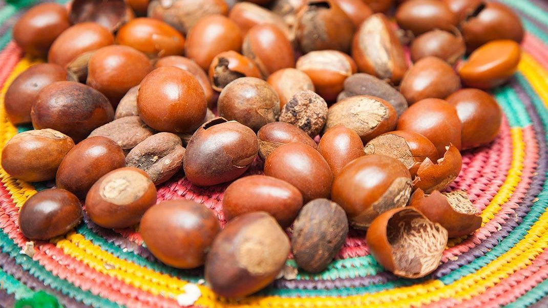 Sheabutter wird aus den Früchten des Karitébaums gewonnen - wo der Sheanussbaum wächst und wie die wertvolle Karitébutter gewonnen wird, erfahrt ihr hier.