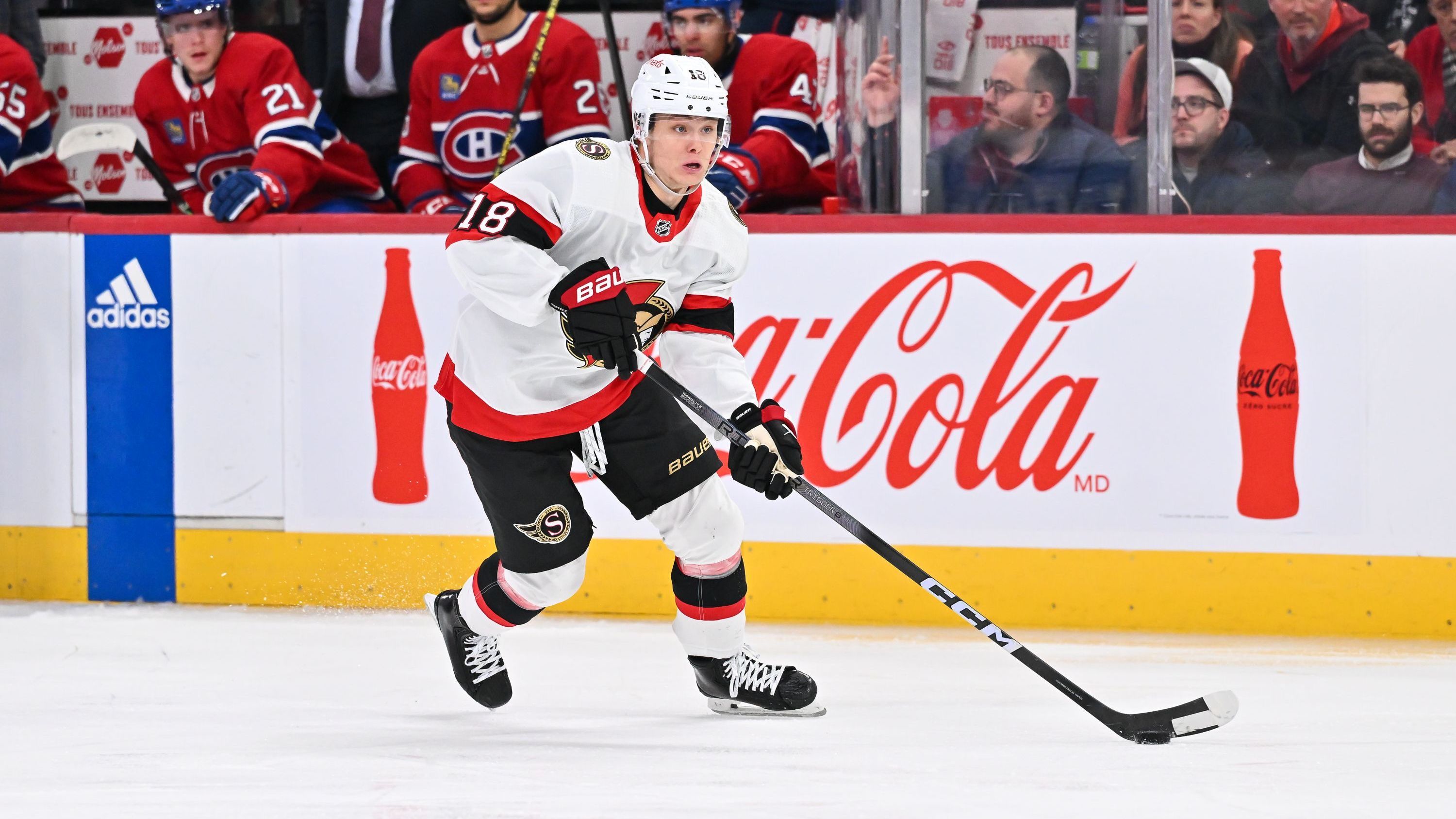 <strong>Tim Stützle (Ottawa Senators)</strong><br>Starke 70 Punkte (18 Tore und 52 Assists) standen bei Tim Stützle am Ende zu Buche. Doch die Saison mit den Senators endete unglücklich. Zum einen, weil der Deutsche mit Ottawa deutlich die Playoffs verpasste (Drittletzter im Osten) und zum anderen, weil er die letzten Saisonspiele verletzungsbedingt verpasste.