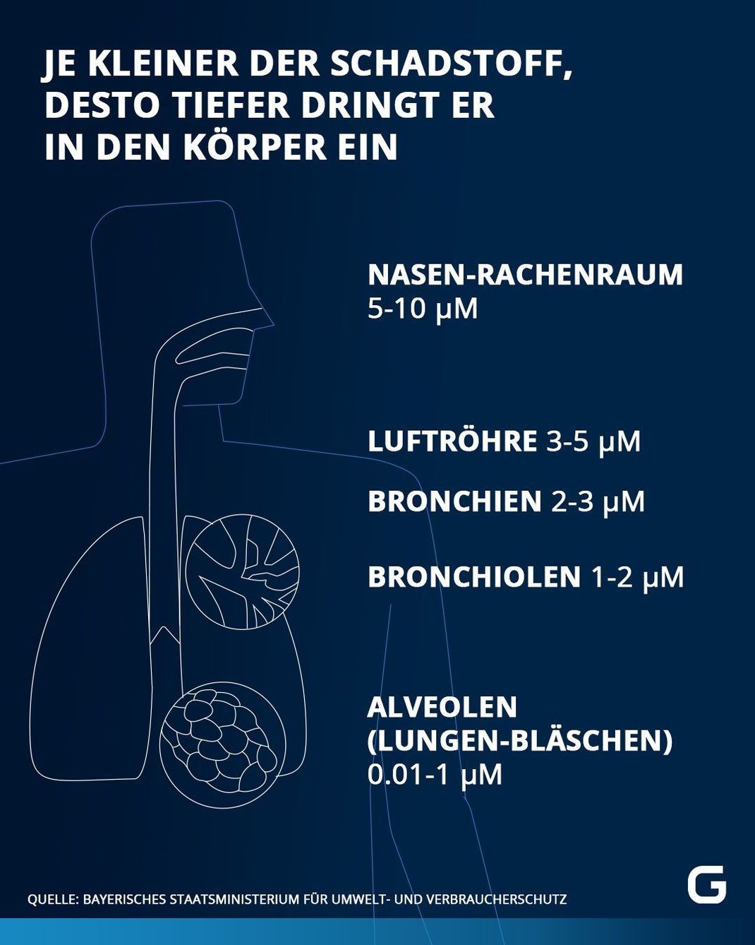 Feinstaub: So tief dringt der Schadstoff in den Körper ein