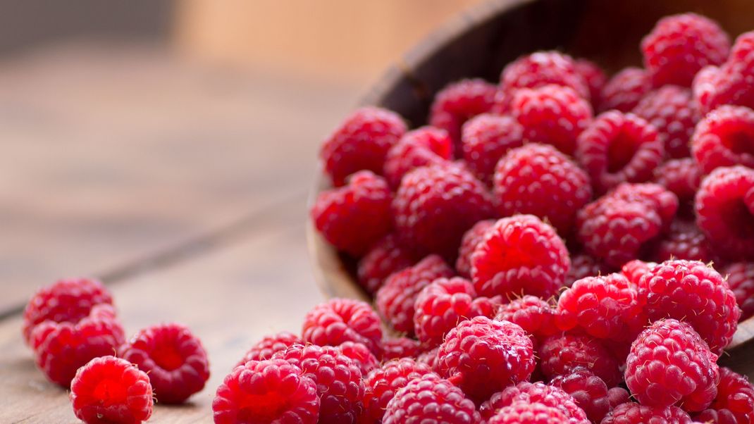 Genau wie Pflaumen oder Weintrauben enthalten auch Himbeeren den wertvollen sekundären Pflanzenstoff Resveratrol.