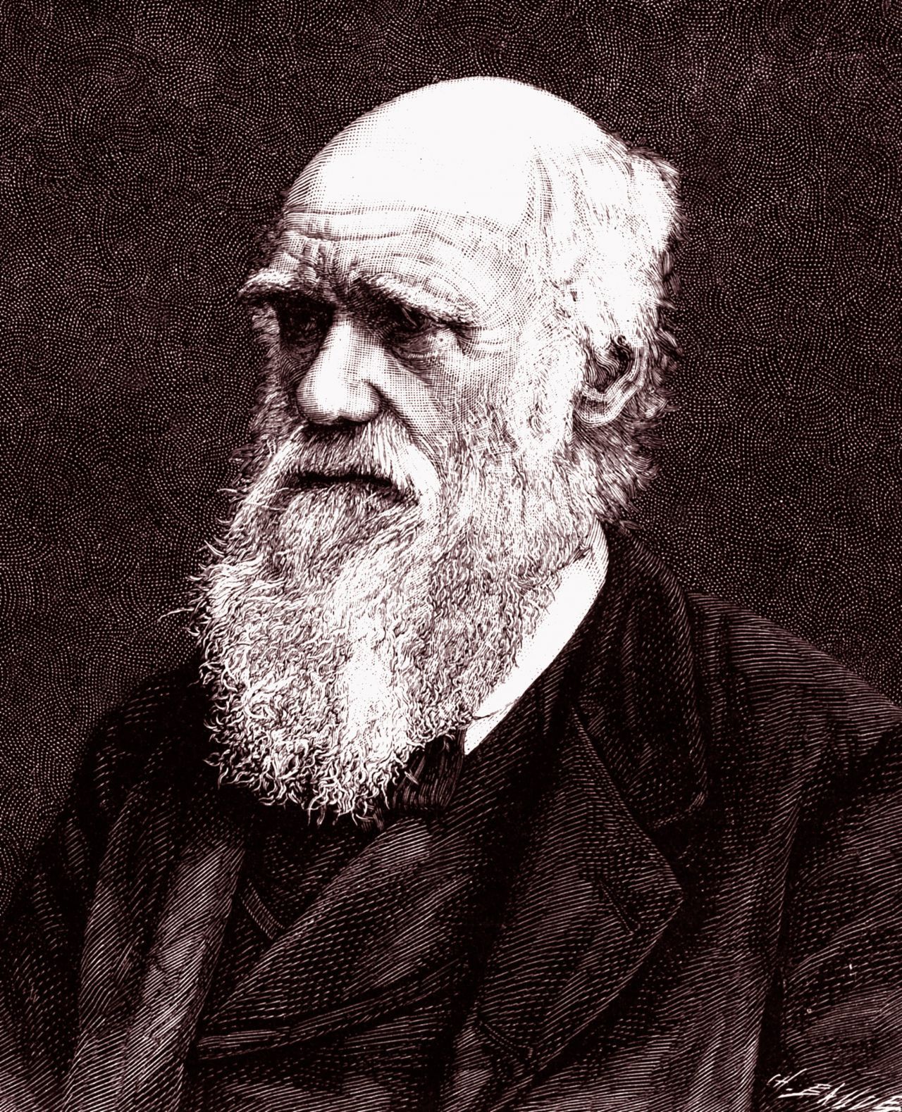 Charles Darwin (1809 - 1882): Biologe. Er gilt als Vater der Evolutionstheorie. Seine Arbeiten über die Entstehungen der Tier- und Pflanzenarten sind bis heute Grundlage der Forschung.