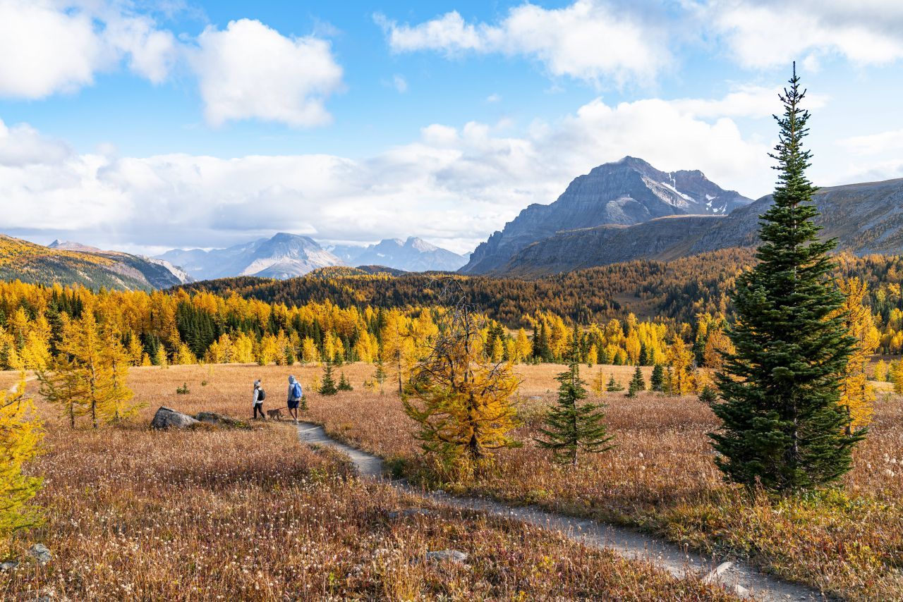 10. Platz: Kanada