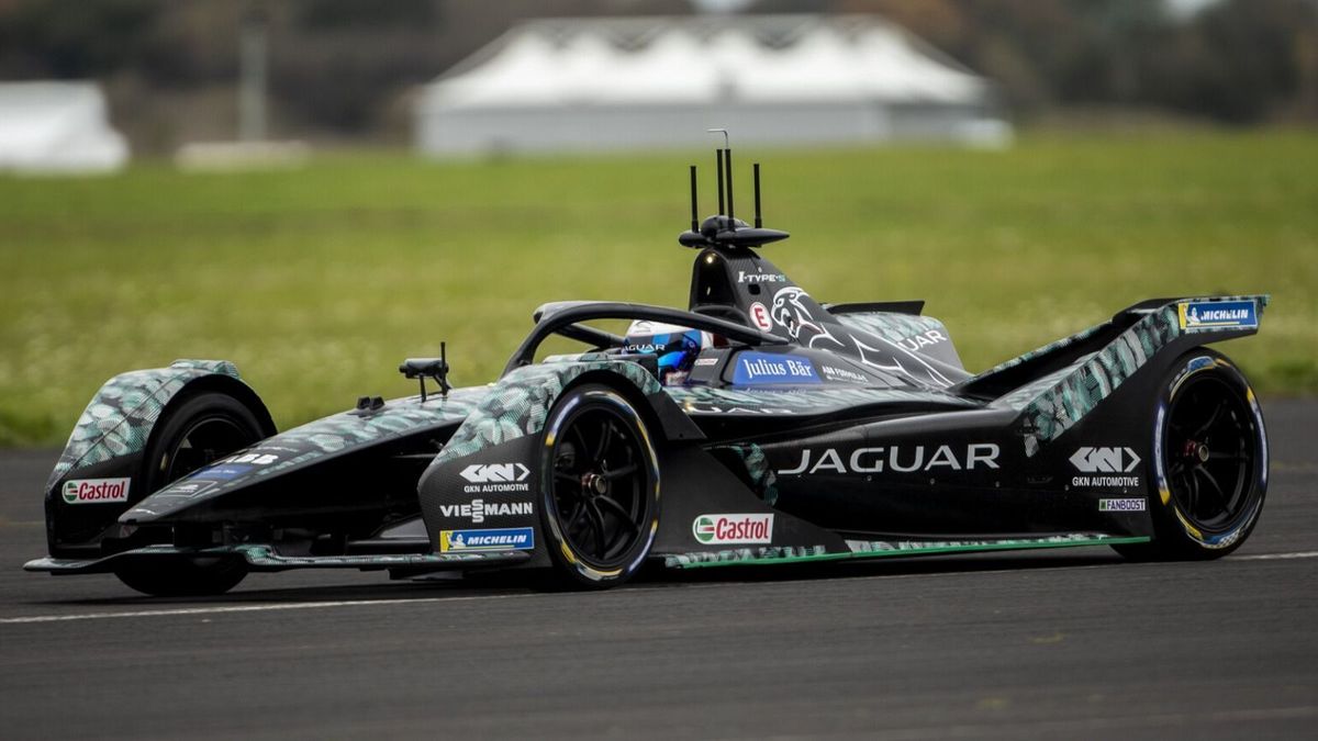 Bird Test Jaguar