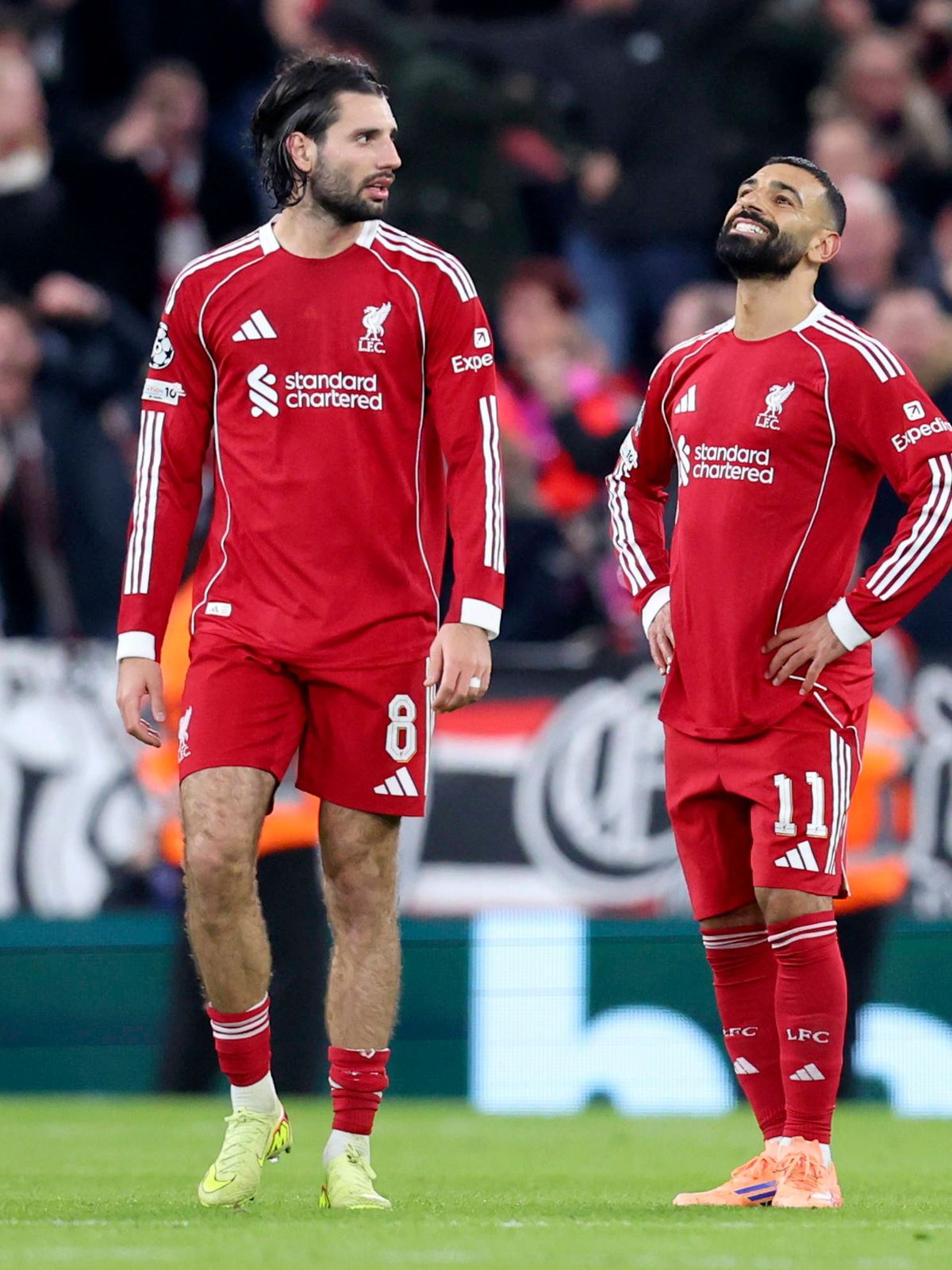 imago images 1069617617