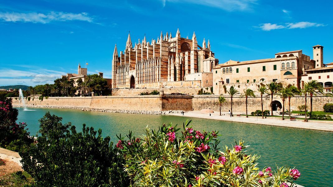 Viele Restaurants und Bars locken Mallorca-Tourist:innen in die Umgebung der 109 Meter langen Kathedrale