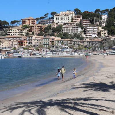 Palma